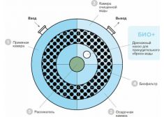 Евролос Био 12+
