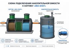 Эко-Енот Fintek 2.5